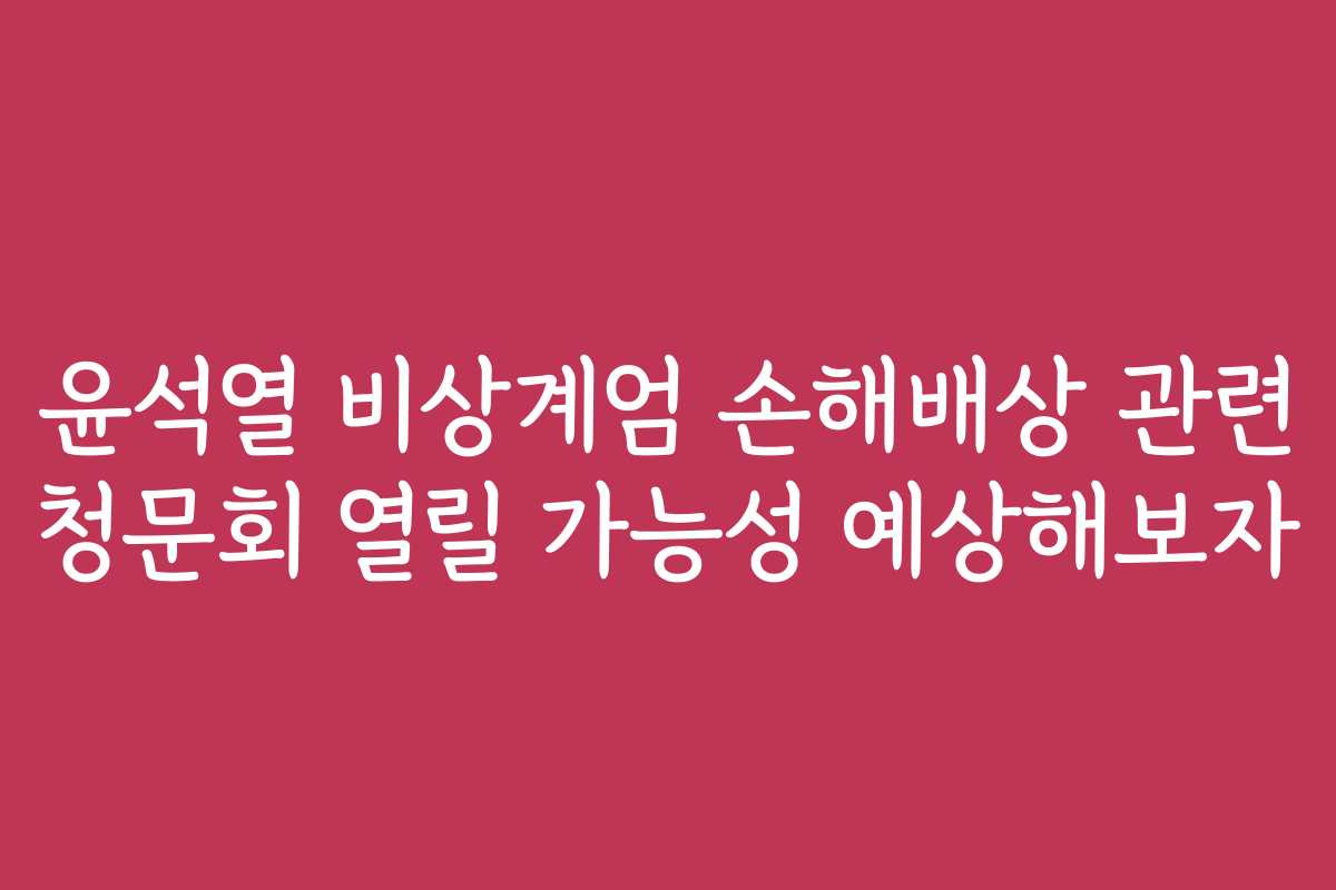윤석열 비상계엄 손해배상 관련 청문회 열릴 가능성 예상해보자