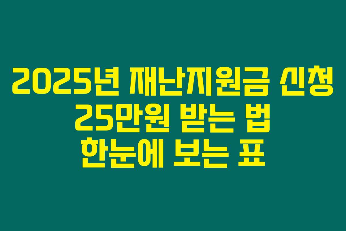 2025년 재난지원금 신청 25만원 받는 법 한눈에 보는 표