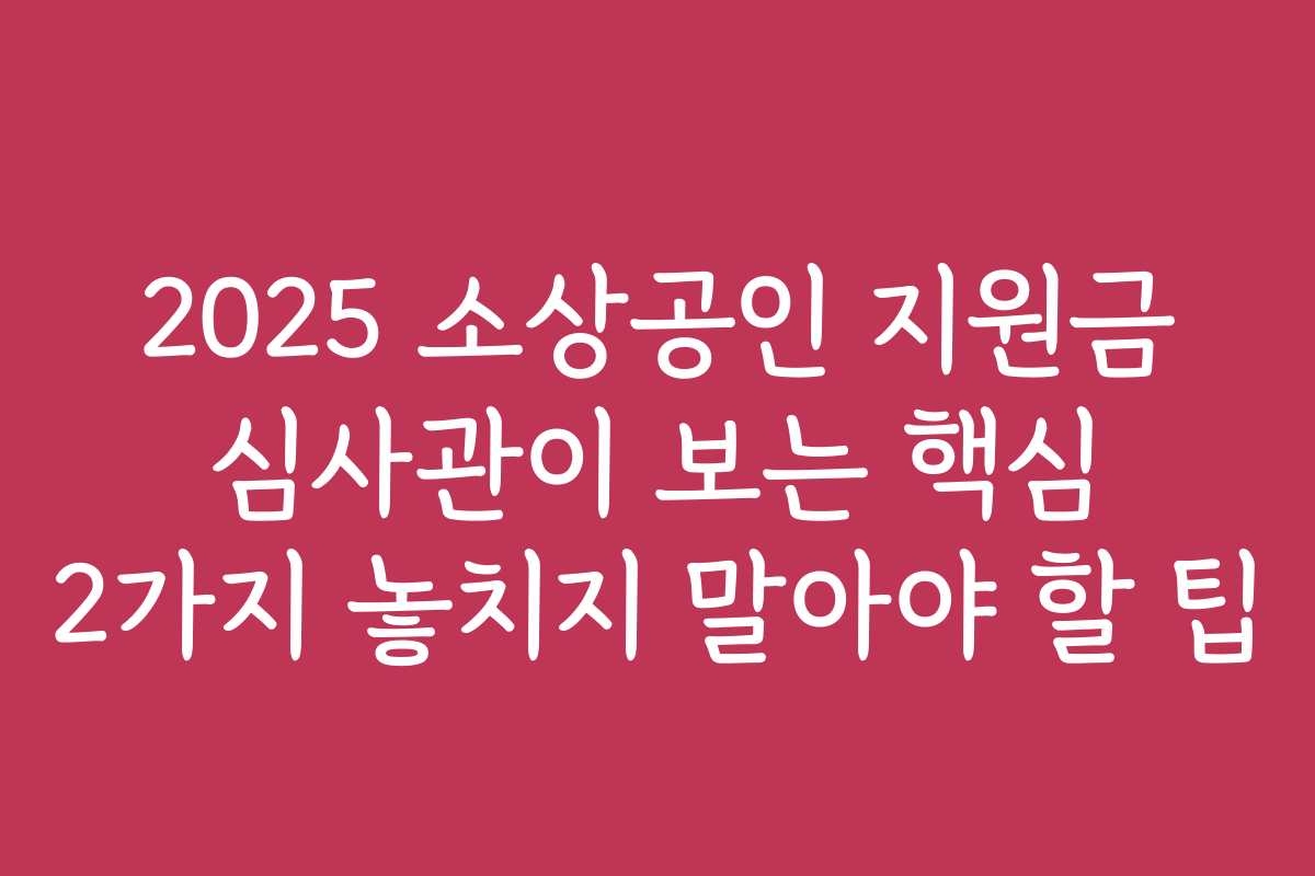 2025 소상공인 지원금 심사관이 보는 핵심 2가지 놓치지 말아야 할 팁