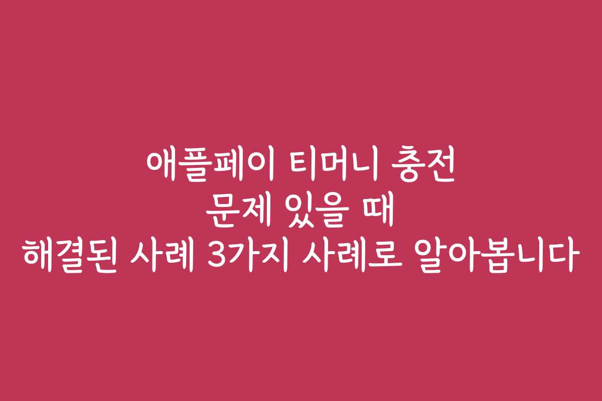애플페이 티머니 충전 문제 있을 때 해결된 사례 3가지 사례로 알아봅니다