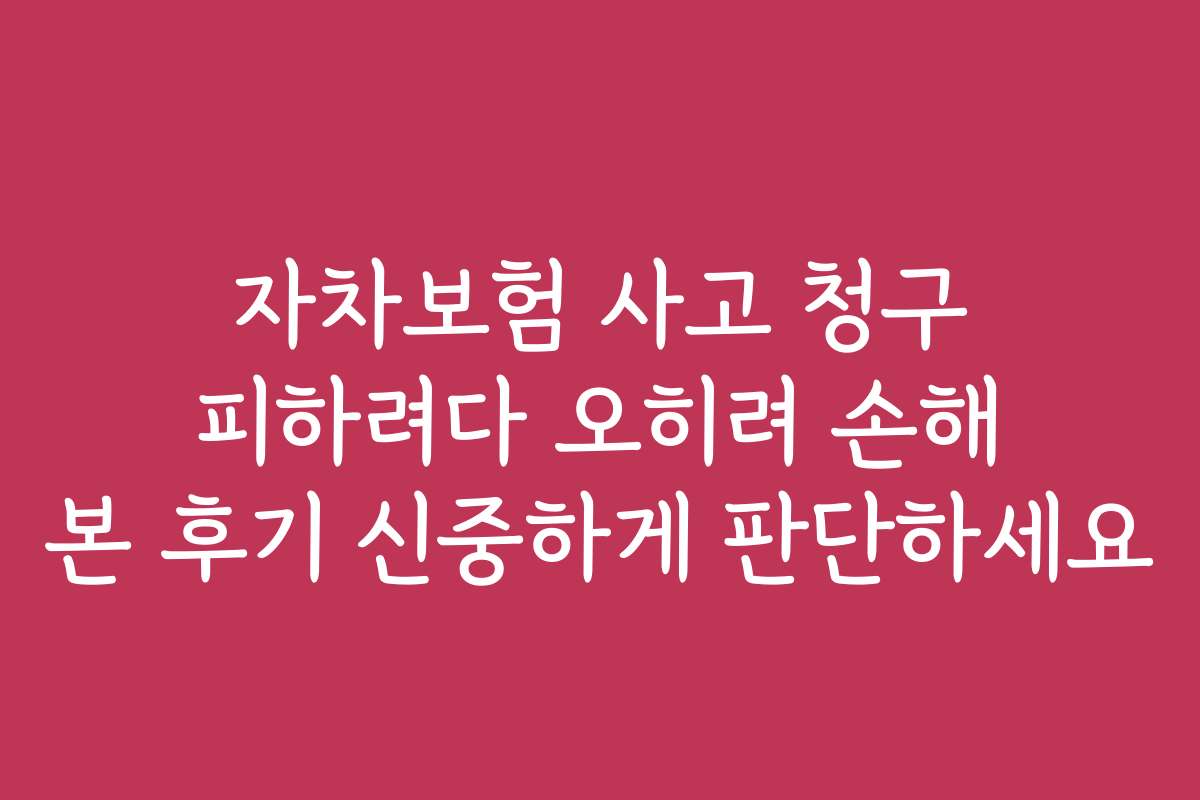 자차보험 사고 청구 피하려다 오히려 손해 본 후기 신중하게 판단하세요