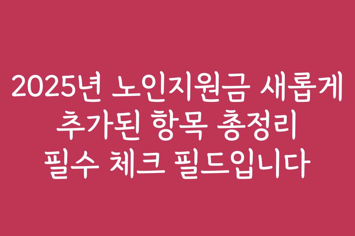 2025년 노인지원금 새롭게 추가된 항목 총정리 필수 체크 필드입니다