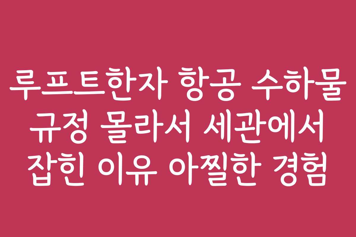 루프트한자 항공 수하물 규정 몰라서 세관에서 잡힌 이유 아찔한 경험