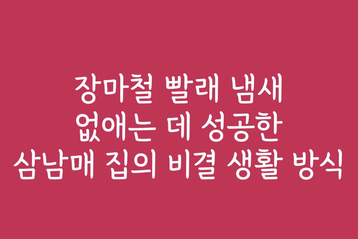 장마철 빨래 냄새 없애는 데 성공한 삼남매 집의 비결 생활 방식