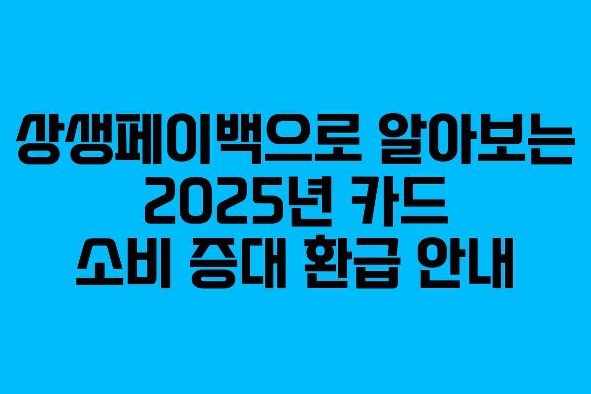 상생페이백으로 알아보는 2025년 카드 소비 증대 환급 안내