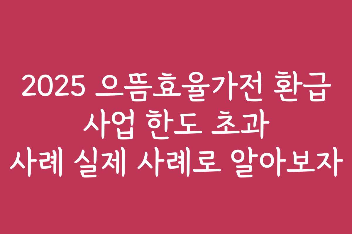 2025 으뜸효율가전 환급 사업 한도 초과 사례 실제 사례로 알아보자