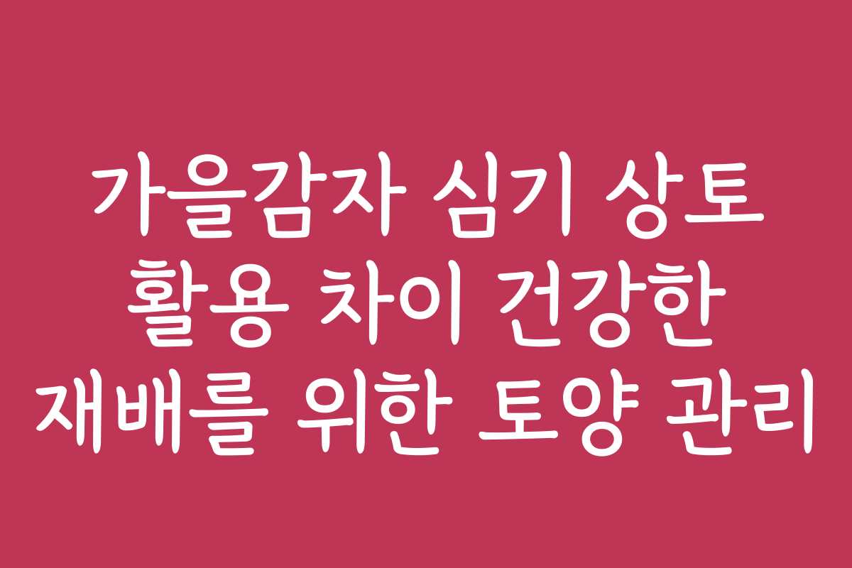 가을감자 심기 상토 활용 차이 건강한 재배를 위한 토양 관리