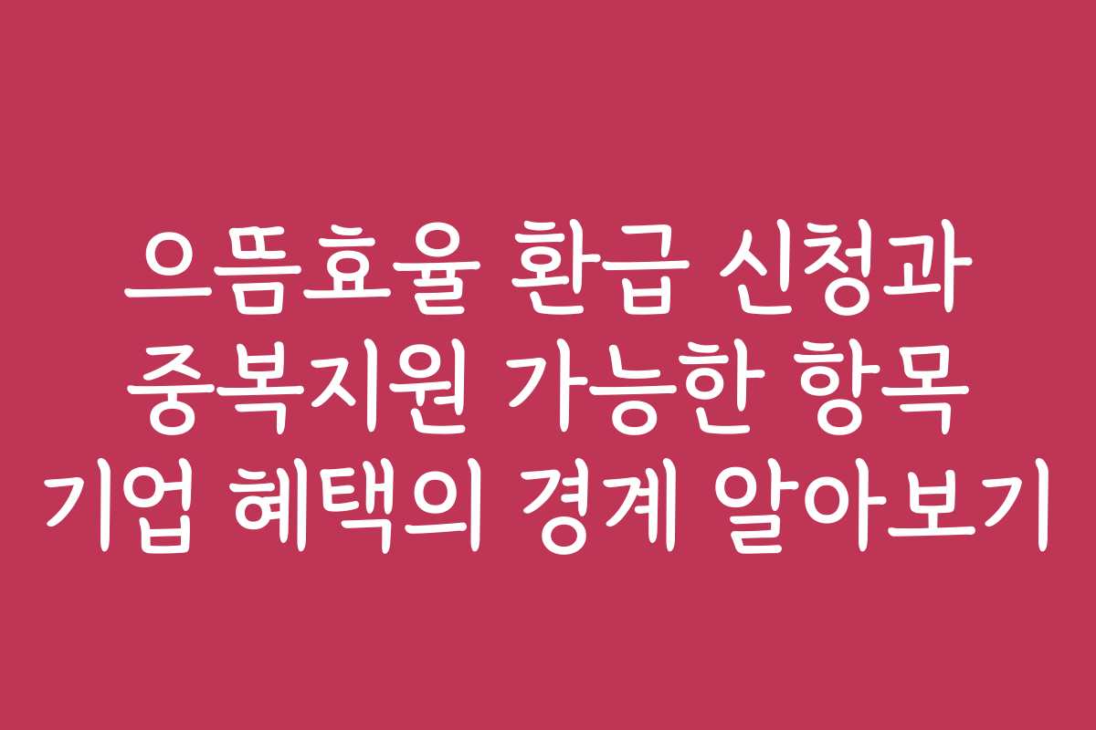 으뜸효율 환급 신청과 중복지원 가능한 항목 기업 혜택의 경계 알아보기