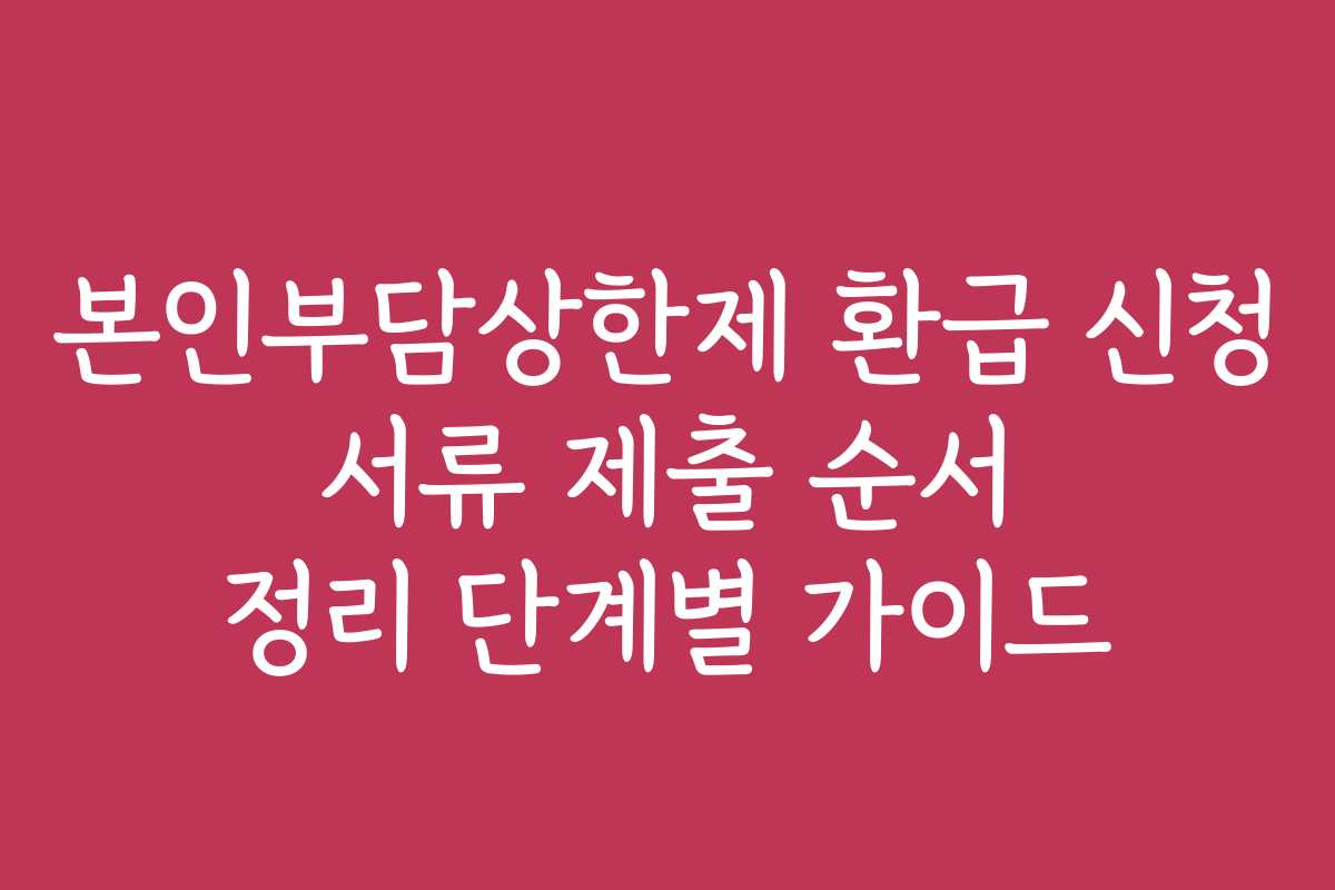 본인부담상한제 환급 신청 서류 제출 순서 정리 단계별 가이드