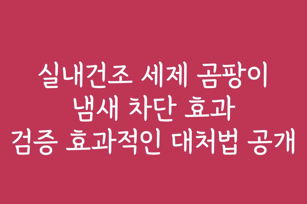 실내건조 세제 곰팡이 냄새 차단 효과 검증 효과적인 대처법 공개