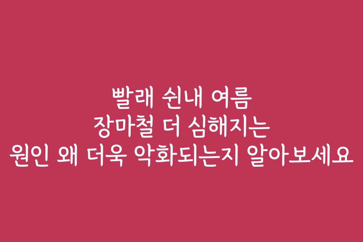 빨래 쉰내 여름 장마철 더 심해지는 원인 왜 더욱 악화되는지 알아보세요