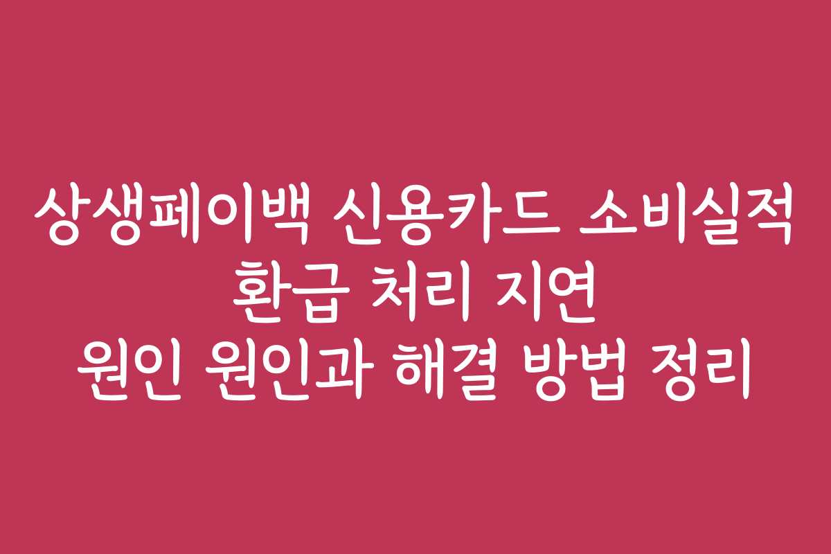 상생페이백 신용카드 소비실적 환급 처리 지연 원인 원인과 해결 방법 정리