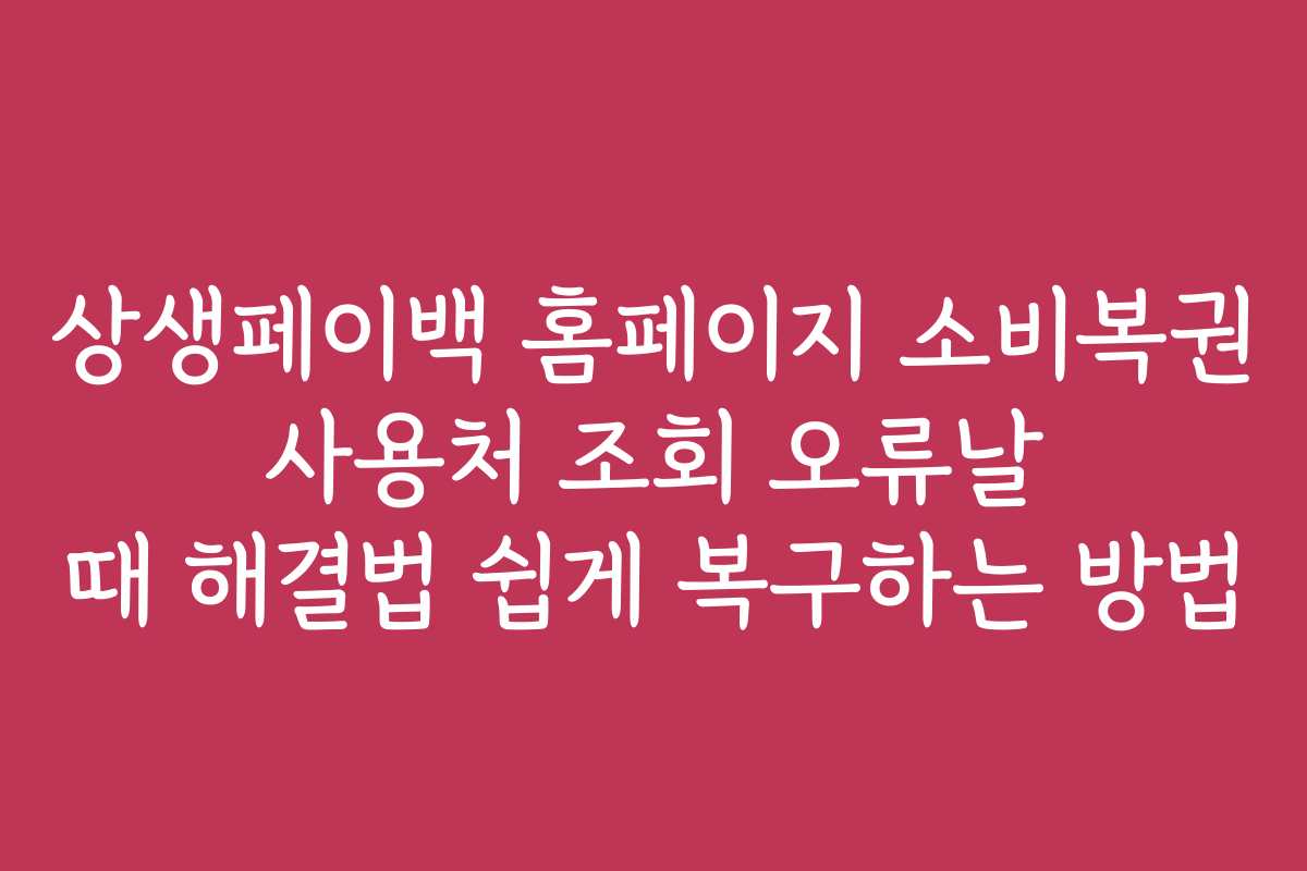 상생페이백 홈페이지 소비복권 사용처 조회 오류날 때 해결법 쉽게 복구하는 방법