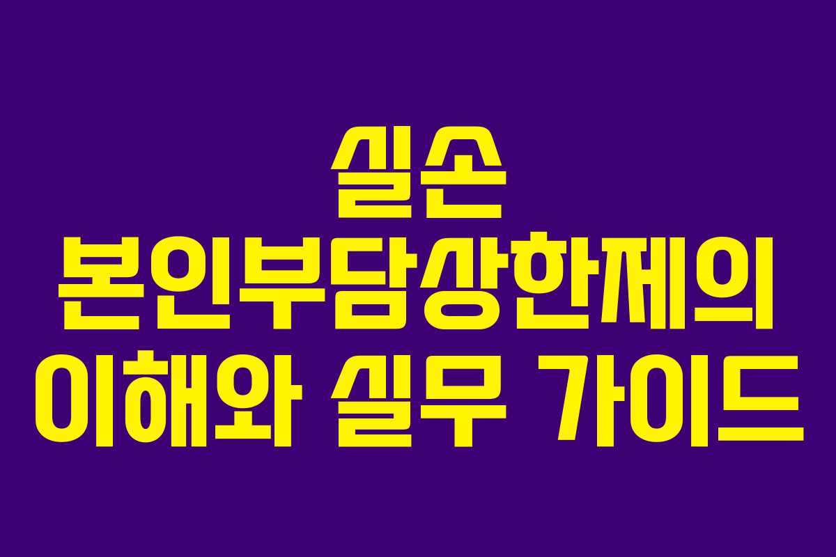 실손 본인부담상한제의 이해와 실무 가이드