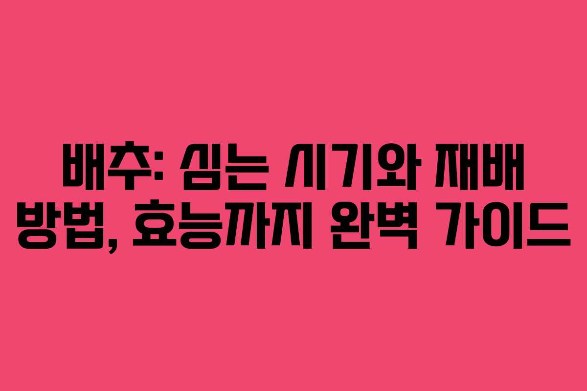 배추: 심는 시기와 재배 방법, 효능까지 완벽 가이드