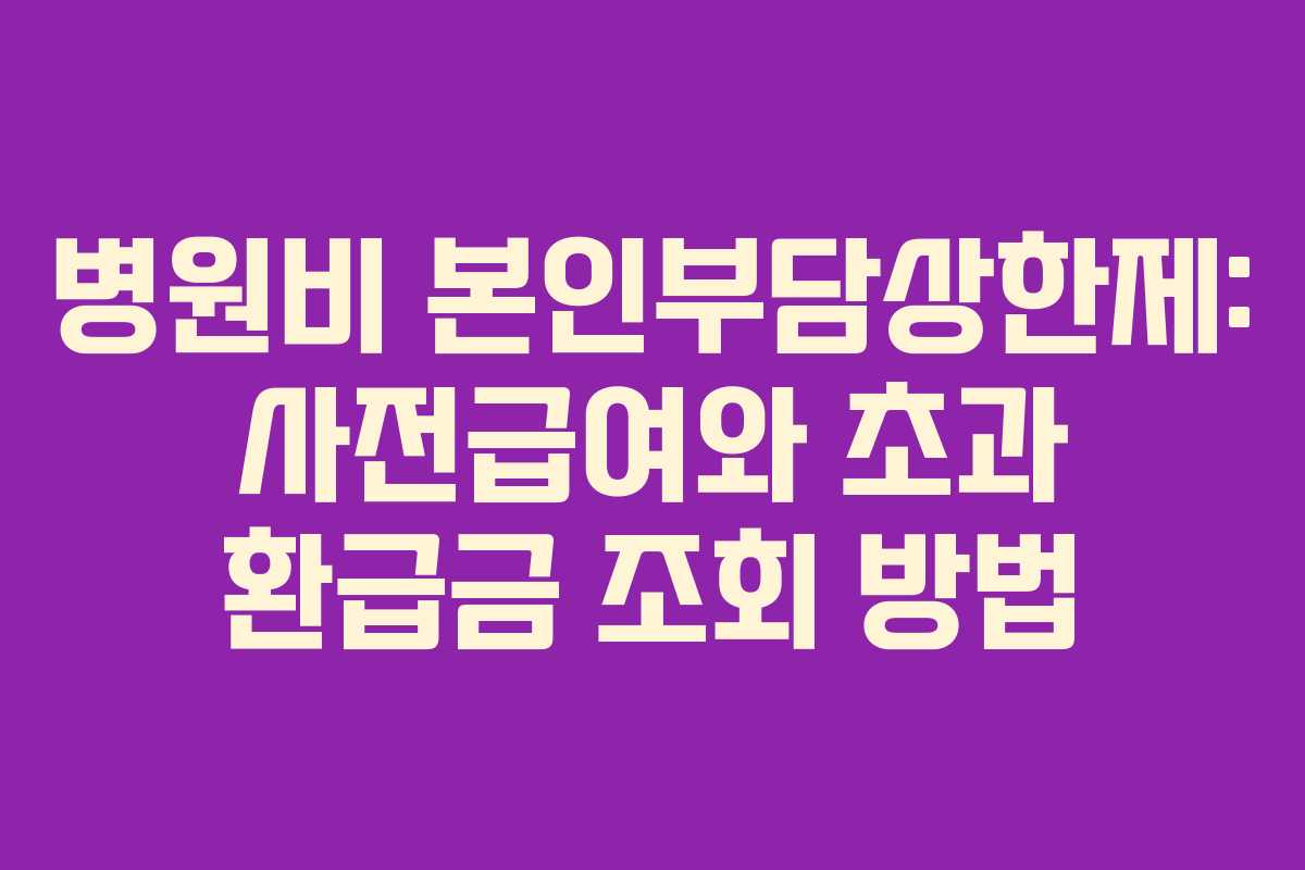 병원비 본인부담상한제: 사전급여와 초과 환급금 조회 방법
