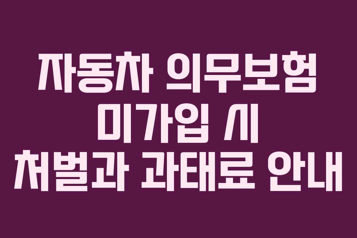 자동차 의무보험 미가입 시 처벌과 과태료 안내