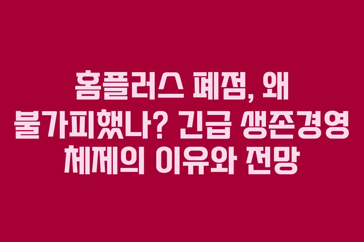 홈플러스 폐점, 왜 불가피했나? 긴급 생존경영 체제의 이유와 전망