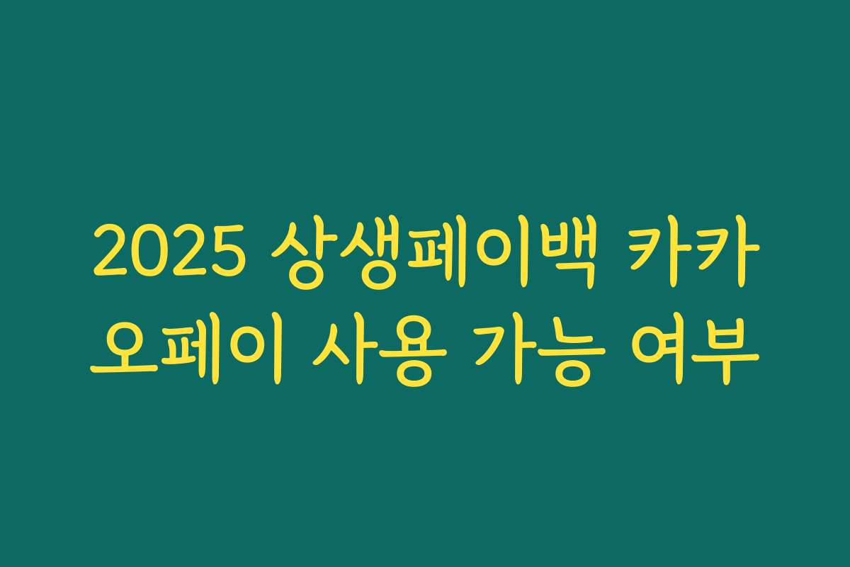 2025 상생페이백 카카오페이 사용 가능 여부