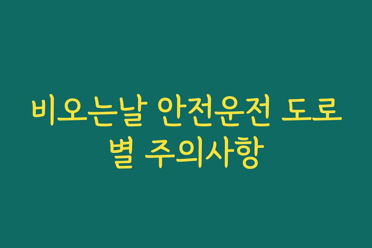 비오는날 안전운전 도로별 주의사항