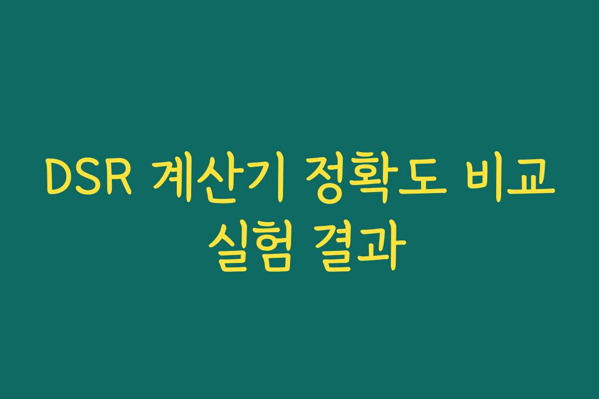 DSR 계산기 정확도 비교 실험 결과