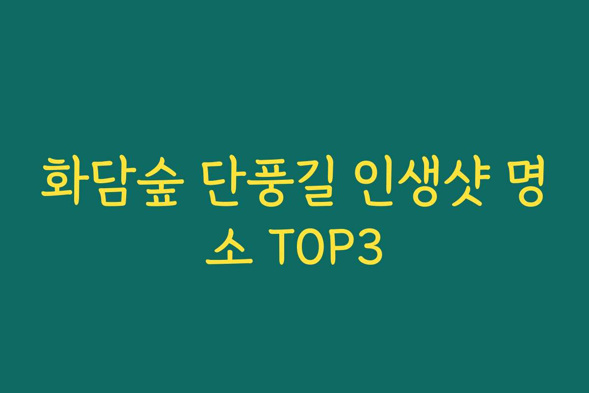 화담숲 단풍길 인생샷 명소 TOP3