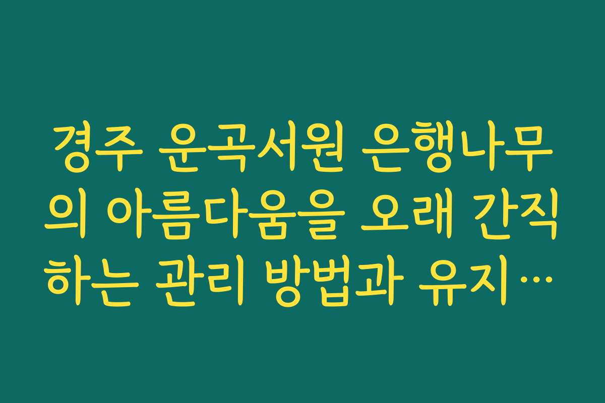 경주 운곡서원 은행나무의 아름다움을 오래 간직하는 관리 방법과 유지 노하우