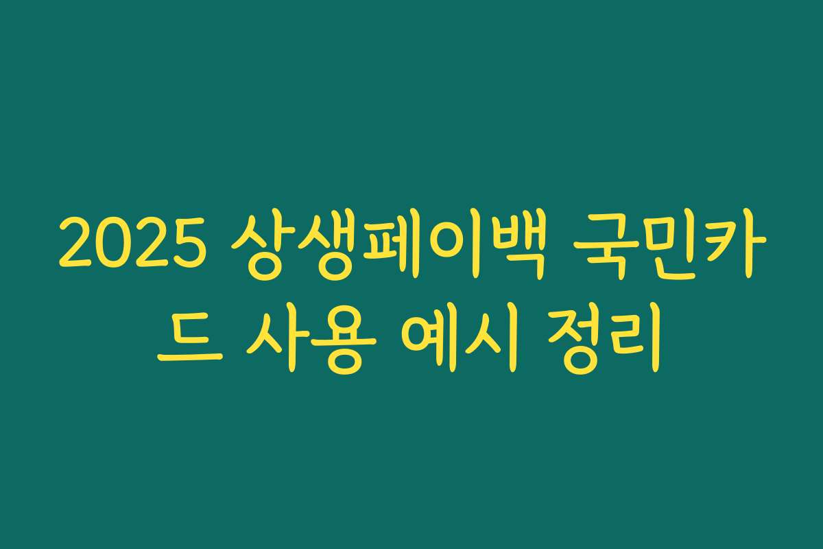 2025 상생페이백 국민카드 사용 예시 정리