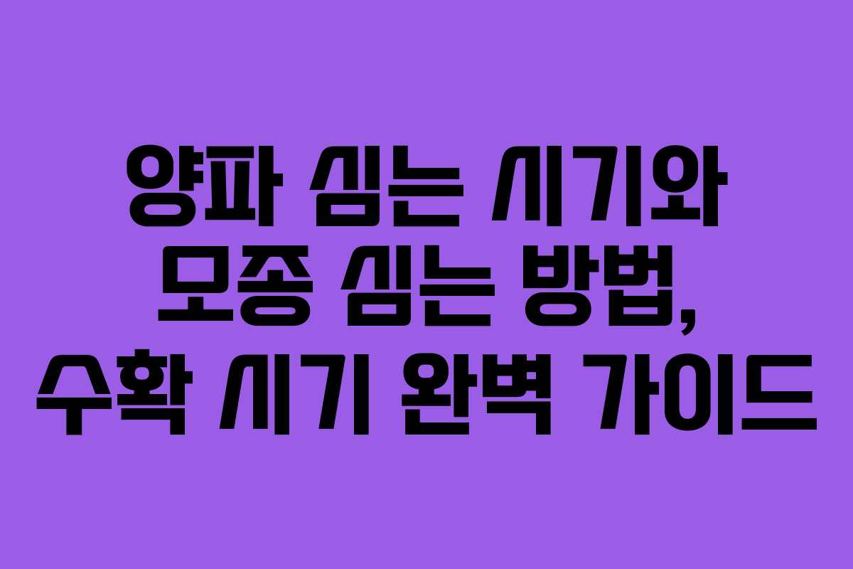 양파 심는 시기와 모종 심는 방법, 수확 시기 완벽 가이드