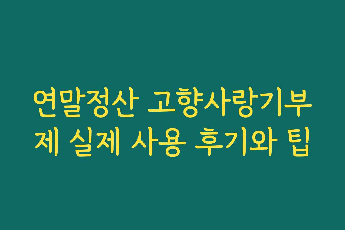 연말정산 고향사랑기부제 실제 사용 후기와 팁