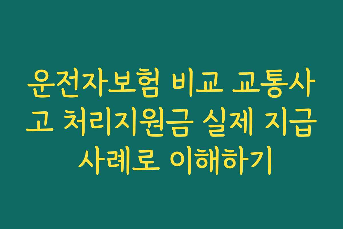 운전자보험 비교 교통사고 처리지원금 실제 지급 사례로 이해하기
