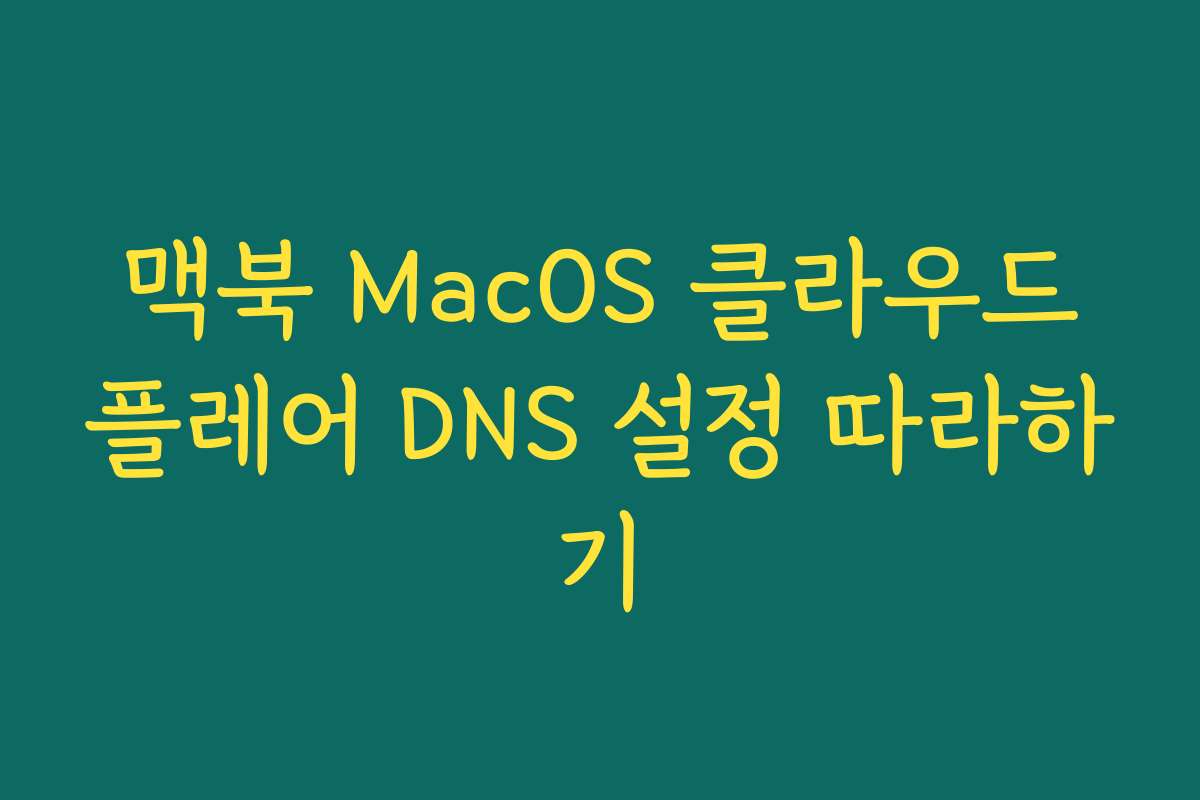 맥북 MacOS 클라우드플레어 DNS 설정 따라하기