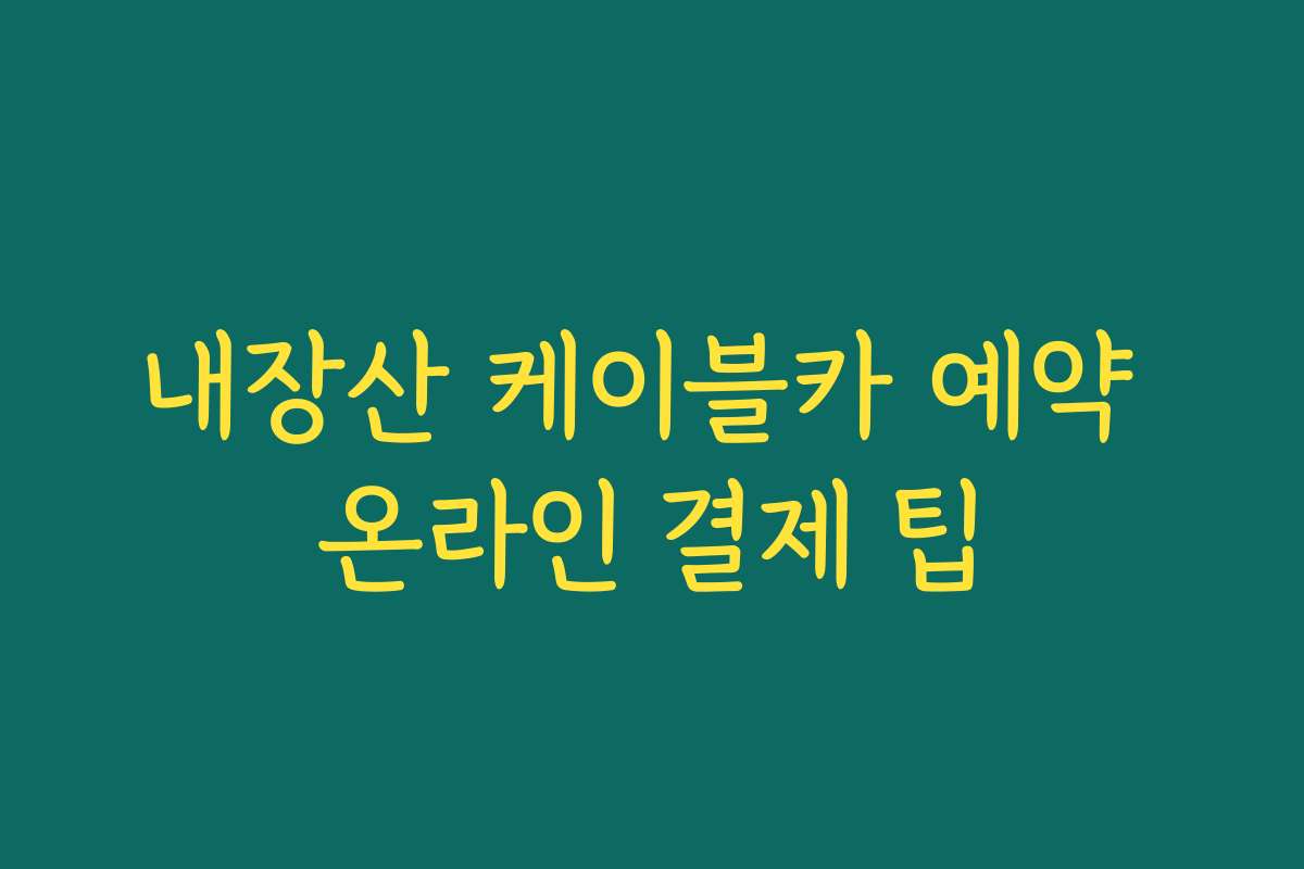 내장산 케이블카 예약 온라인 결제 팁
