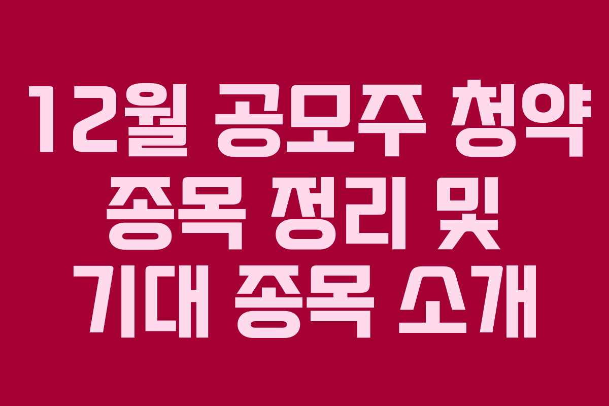 12월 공모주 청약 종목 정리 및 기대 종목 소개