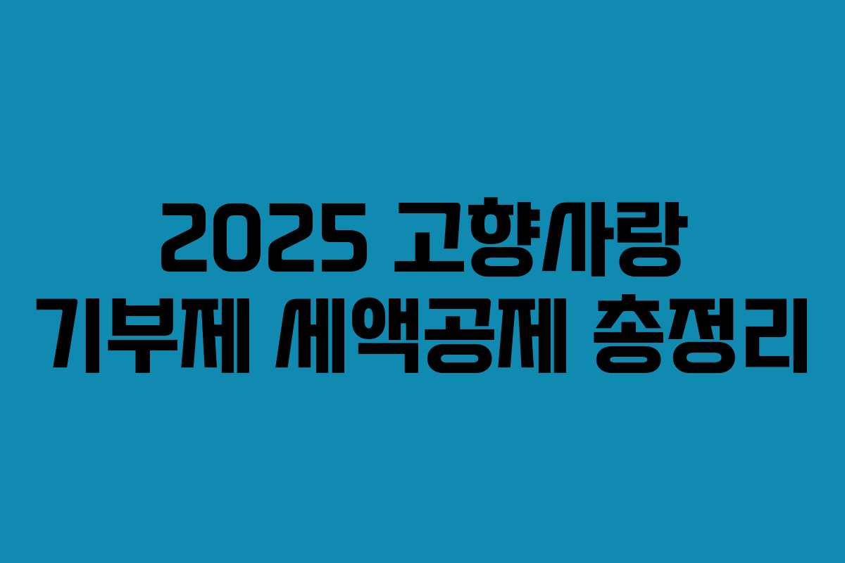 2025 고향사랑 기부제 세액공제 총정리