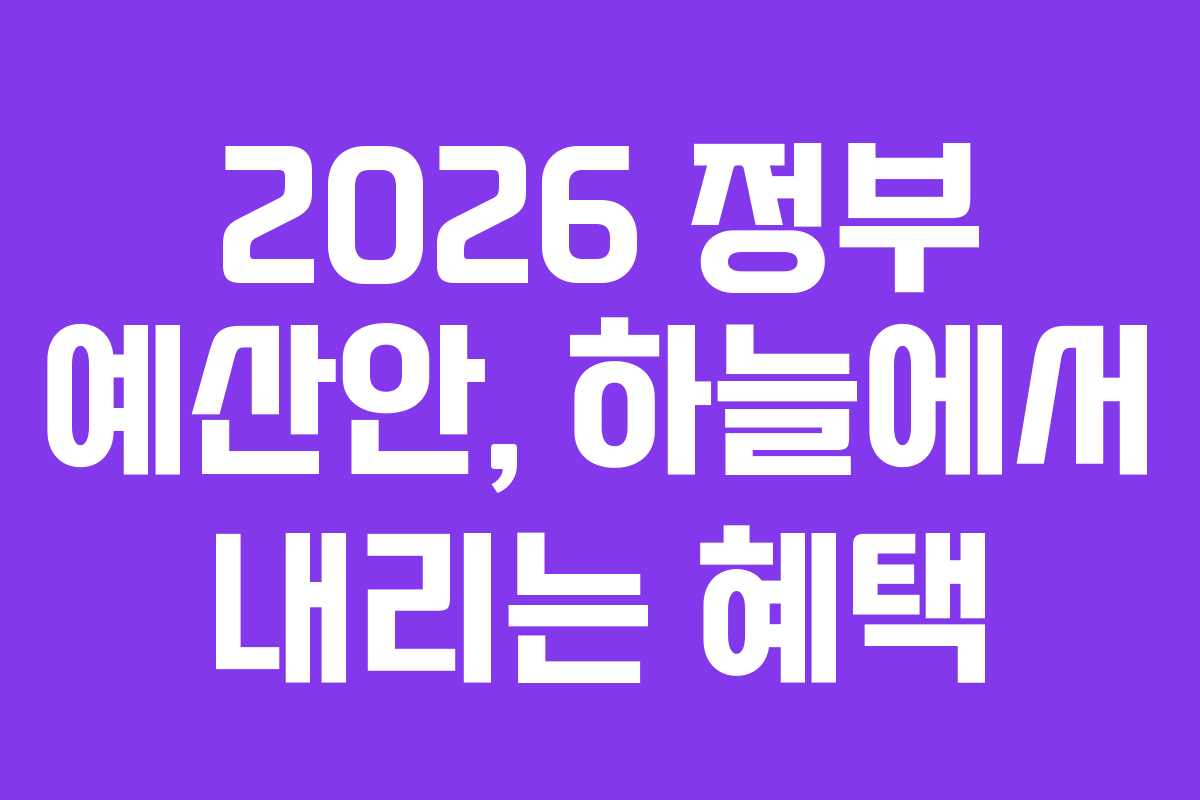 2026 정부 예산안, 하늘에서 내리는 혜택