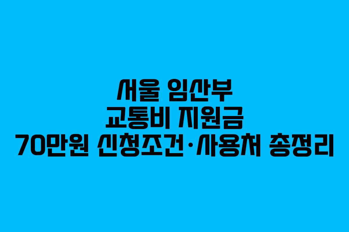 서울 임산부 교통비 지원금 70만원 신청조건·사용처 총정리