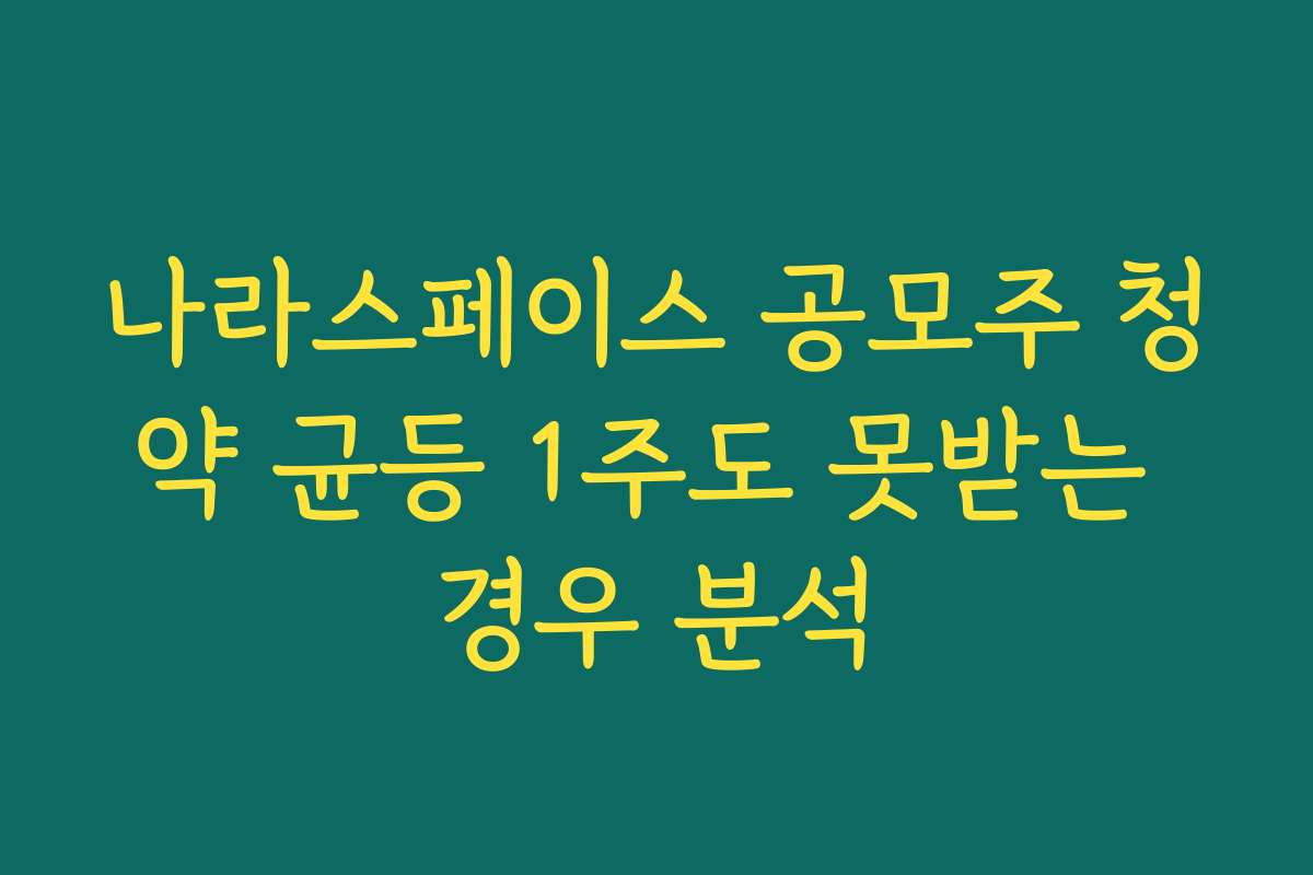 나라스페이스 공모주 청약 균등 1주도 못받는 경우 분석