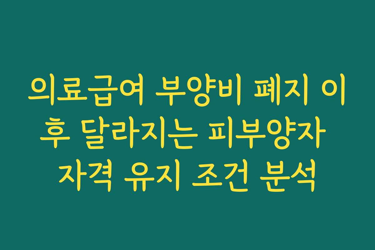 의료급여 부양비 폐지 이후 달라지는 피부양자 자격 유지 조건 분석
