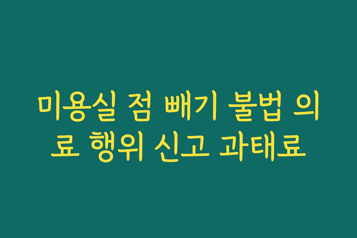 미용실 점 빼기 불법 의료 행위 신고 과태료