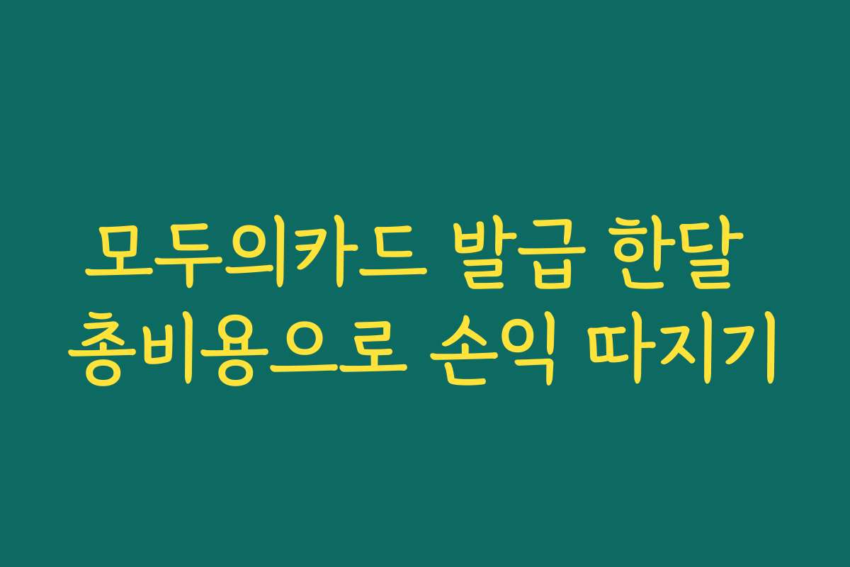 모두의카드 발급 한달 총비용으로 손익 따지기