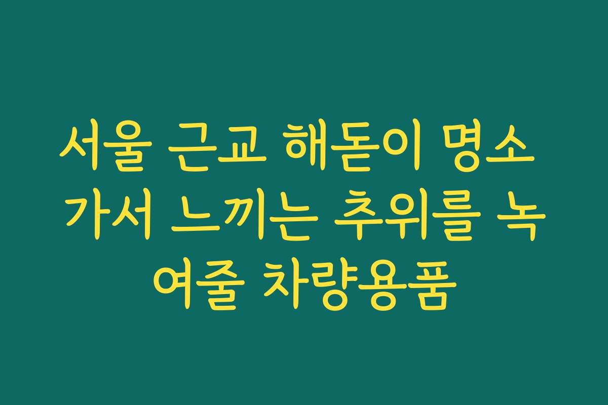 서울 근교 해돋이 명소 가서 느끼는 추위를 녹여줄 차량용품