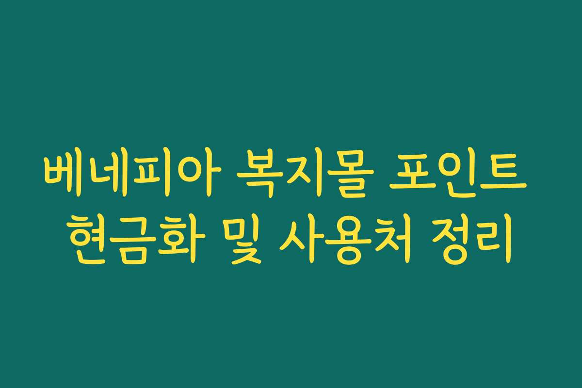 베네피아 복지몰 포인트 현금화 및 사용처 정리