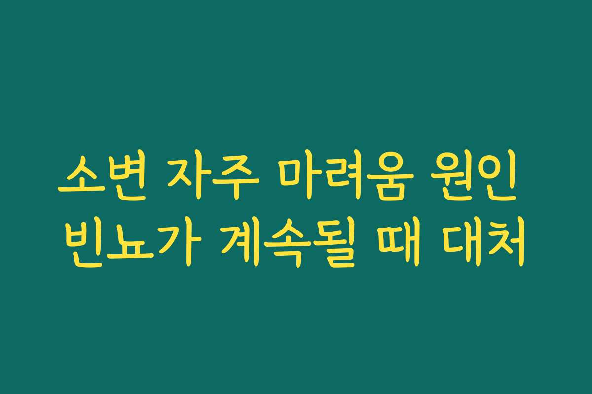 소변 자주 마려움 원인 빈뇨가 계속될 때 대처