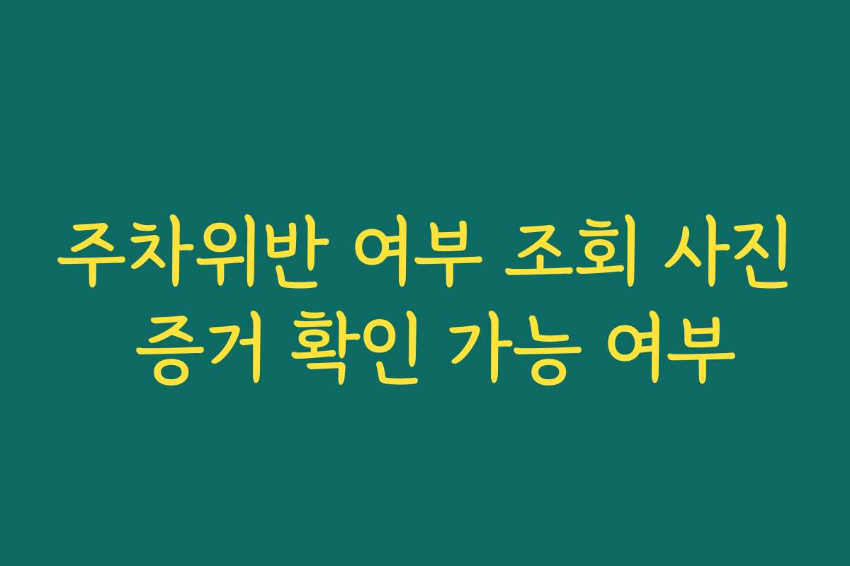 주차위반 여부 조회 사진 증거 확인 가능 여부