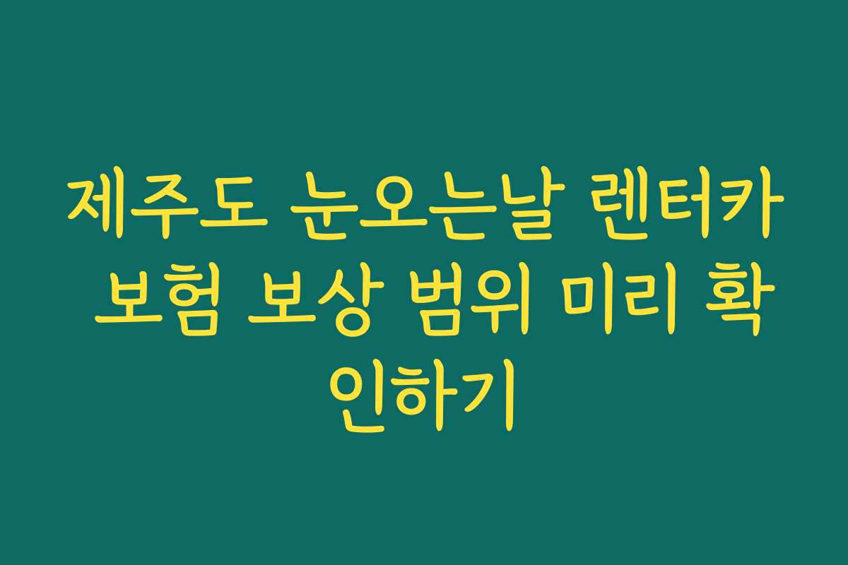 제주도 눈오는날 렌터카 보험 보상 범위 미리 확인하기