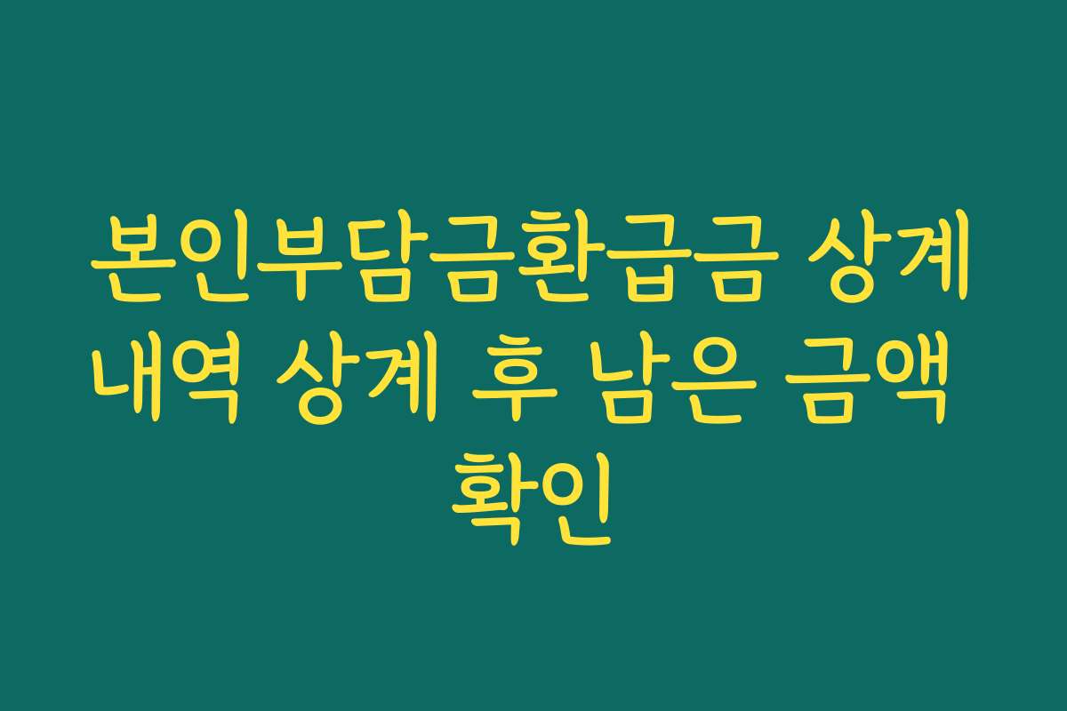 본인부담금환급금 상계내역 상계 후 남은 금액 확인