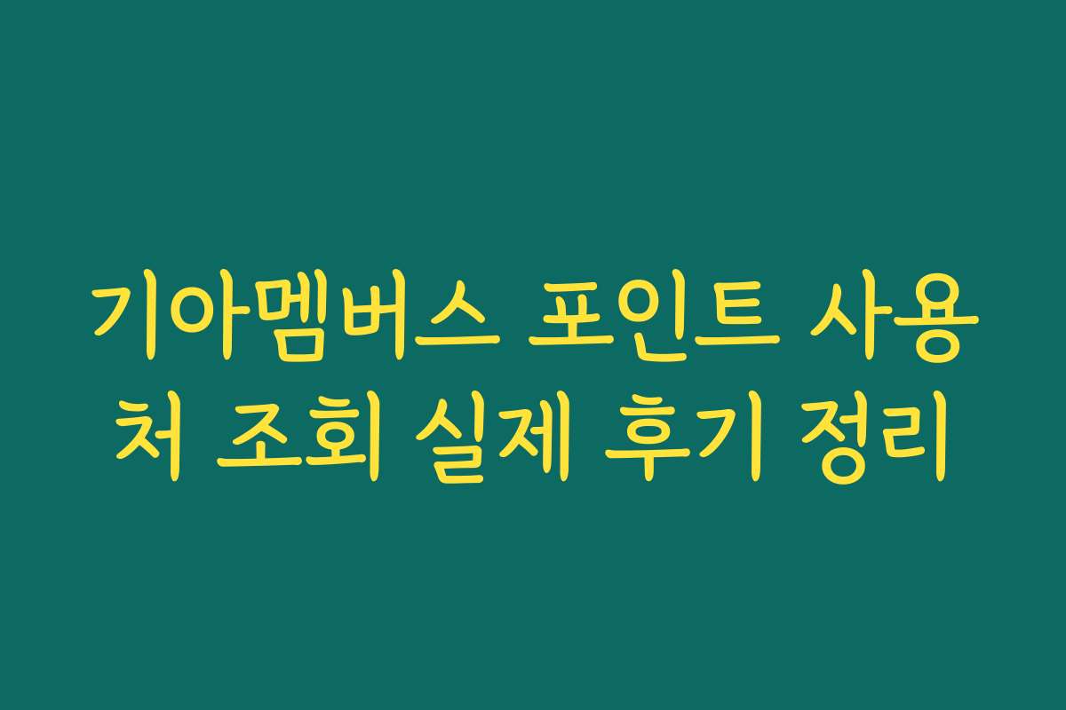 기아멤버스 포인트 사용처 조회 실제 후기 정리