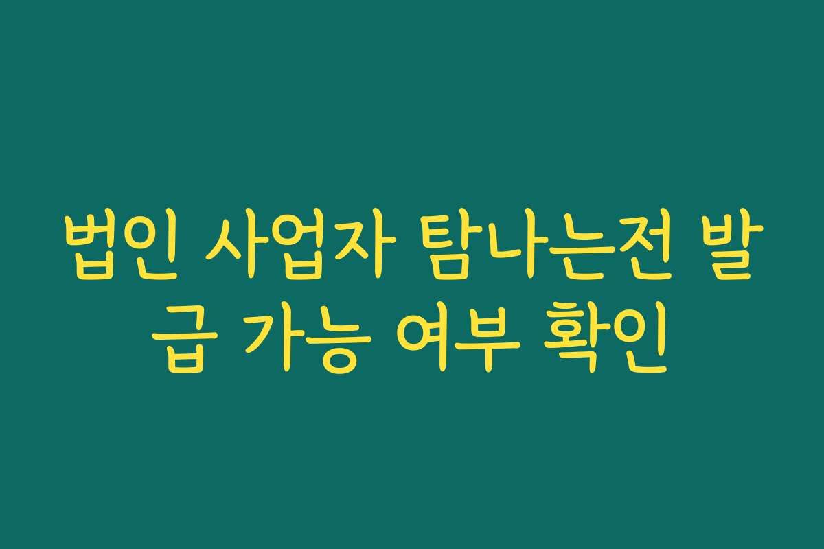 법인 사업자 탐나는전 발급 가능 여부 확인