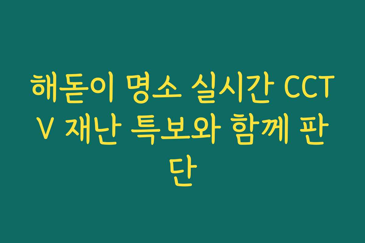 해돋이 명소 실시간 CCTV 재난 특보와 함께 판단
